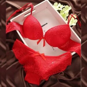 Lingerie Sexy Lace Bra Gather Push Up Underwear Bra And Panty Set Td