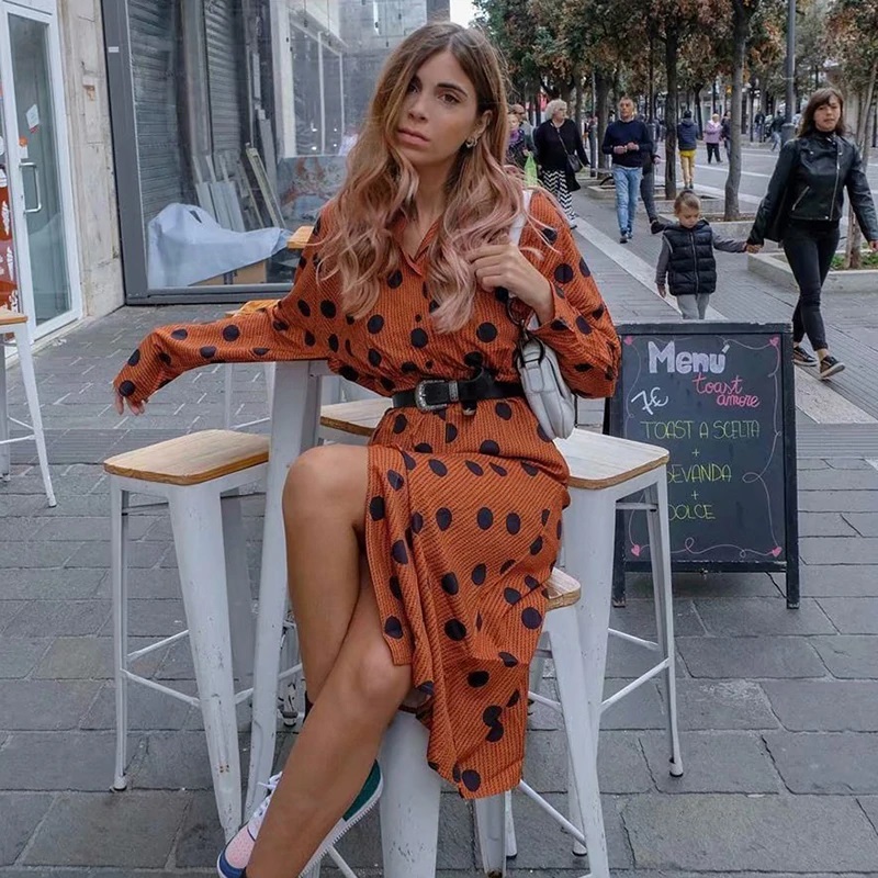 Sexy Embroidery Polka Dot Midi Dress