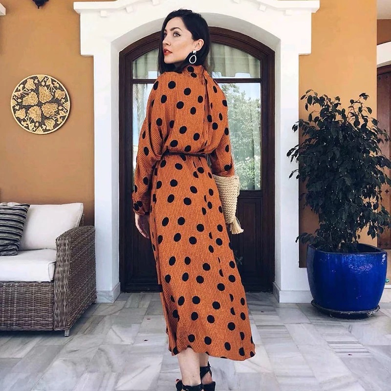 Sexy Embroidery Polka Dot Midi Dress - Image 4