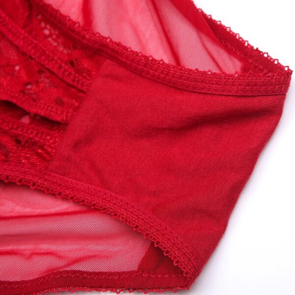 Sexy Lace Underwear Bra 5 Piece Set - TD Mercado