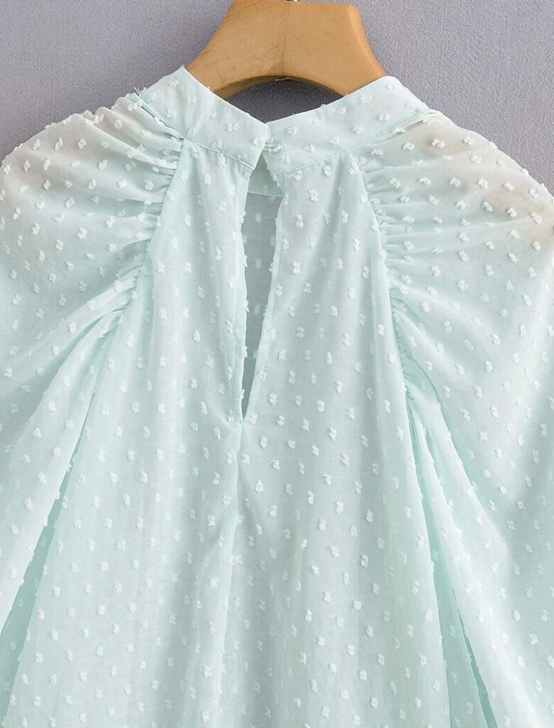 Elegant Dots Embroidery Transparent Blouse - TD Mercado