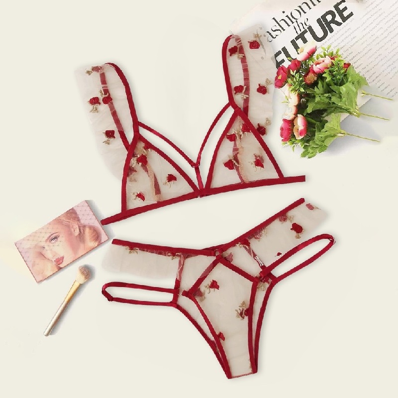 Sexy Lingerie Bra New Fashion Transparent Lace Underwear Flower Lace – TD  Mercado