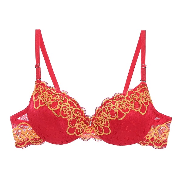 Lace Bra Beauty Back Push Up Bralette Brassiere Sexy Underwire Bra - Image 6