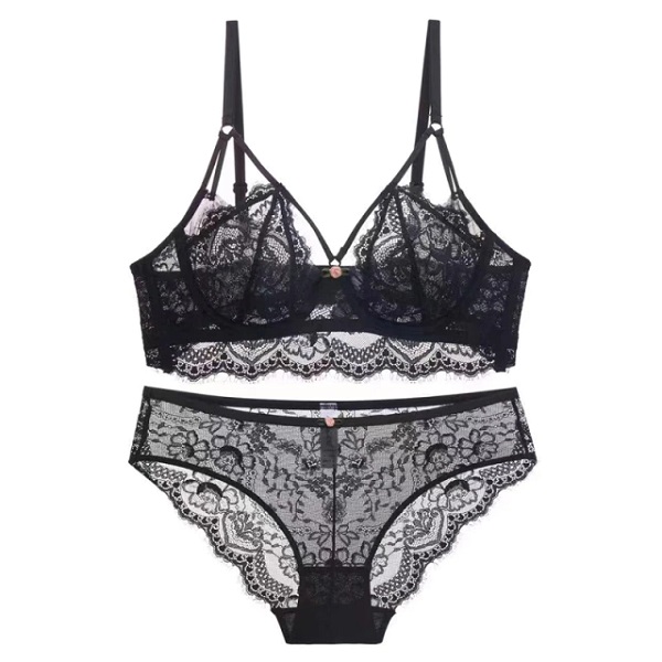 Push Up Brassiere Embroidery Lace Underwear Set Sexy Transparent Panties –  TD Mercado