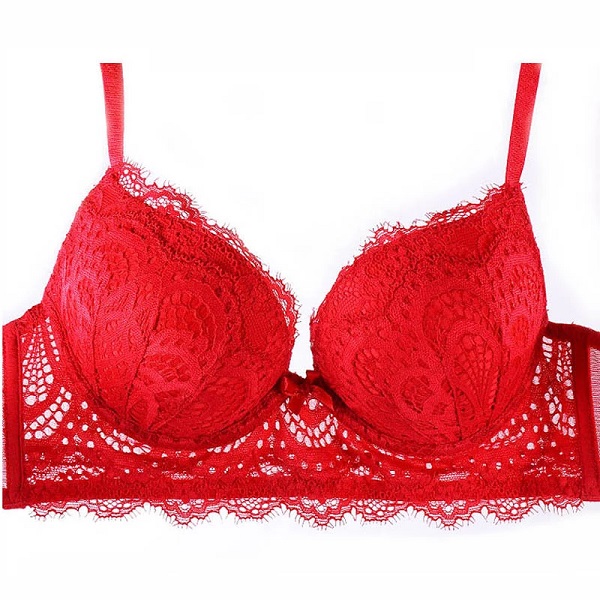 Sexy Bra Set Push up Bras Cup Embroidery Flowers Bras and Panties