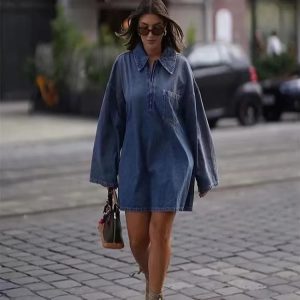 Vintage Turn Down Collar Zipper Long Sleeve Pocket Loose Dress