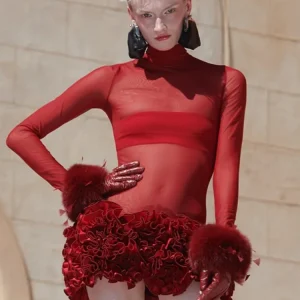 Mesh O-Neck Petal Sleeve Appliques Natural Waist Bodycon Mini Dress