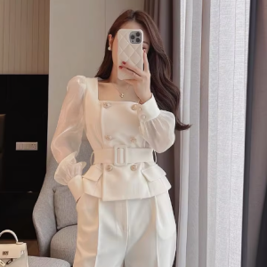Mesh Two Pieces Set Casual Long Sleeve Elegant Tops And Pants Suit