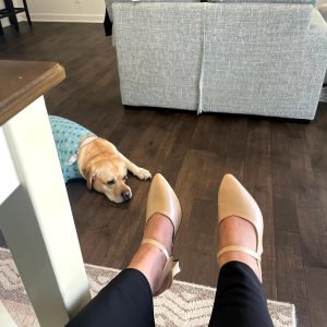 Casual Soft Leather Solid Color Thick High-heeled Sandals3_11zon