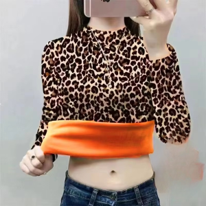 Classic Stand Neck Leopard Long Sleeve Crop Top