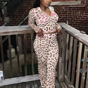 Trendy Zipper Mid Waist Leopard Print Pant And Top Suit 2 Piece Set