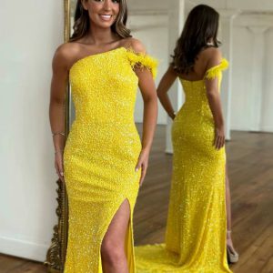 Elegant Sequins Feathers Mermaid Strapless Robes Floor-Length Side Slit Maxi Dress