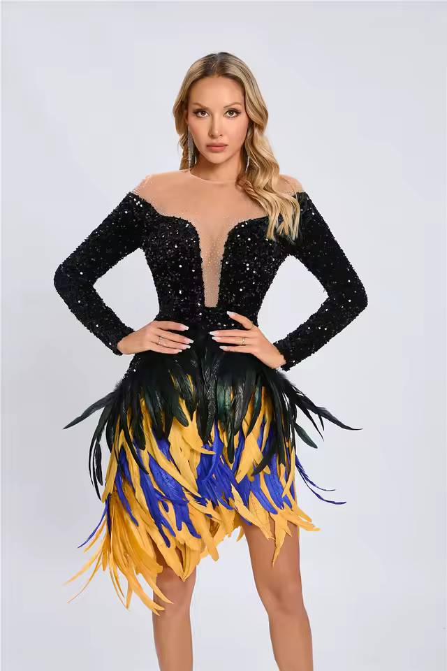 Luxury Tulle Inset Long Sleeve Beading Sequins Feathers Patchwork Bodycon Mini Dress