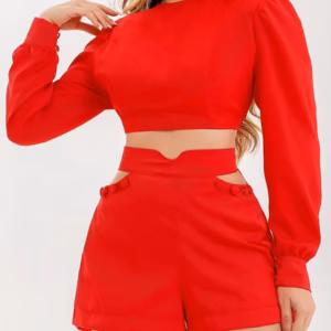 Casual Long Sleeve Crop Tops And Cutout Buttoned Shorts 2 Piece Set