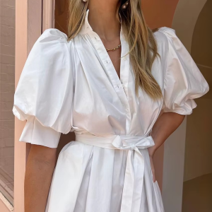 Elegant Solid Lace-Up Stand Collar Short Sleeve Mini Dresses