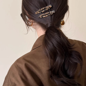 2pcs Set Acetate Hair Clips Hollowed Oval Geometric Barrettes Side Pins Hairpin