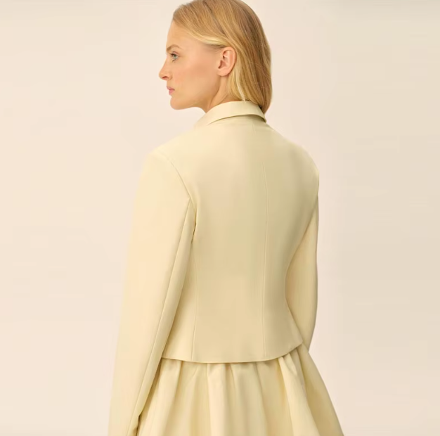 Elegant Bud Full Sleeve Single Breasted Jacket High Waist Mini Skirt Set - Image 6