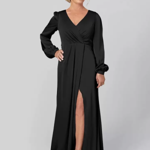Gorgeous V-Neck Long Sleeves A-Line Pleated With Train Guest Dresses